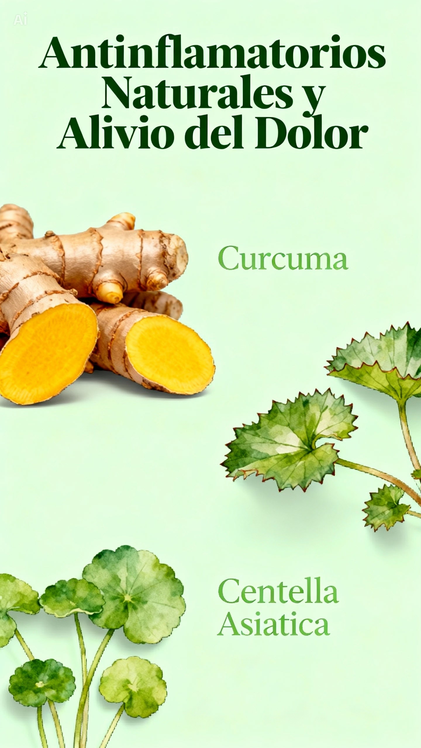 Antiinflamatorios Naturales y Alivio del Dolor