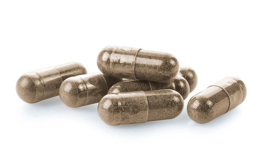 Reishi 400 mg. 50 cápsulas