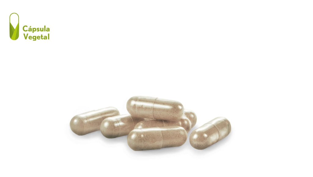 Ginkgo biloba 6000 MG. 30 cápsulas vegetales