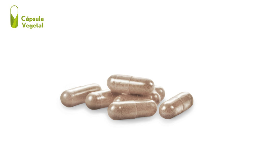 Reishi 2000 mg. (ext. seco) 30 cápsulas vegetales