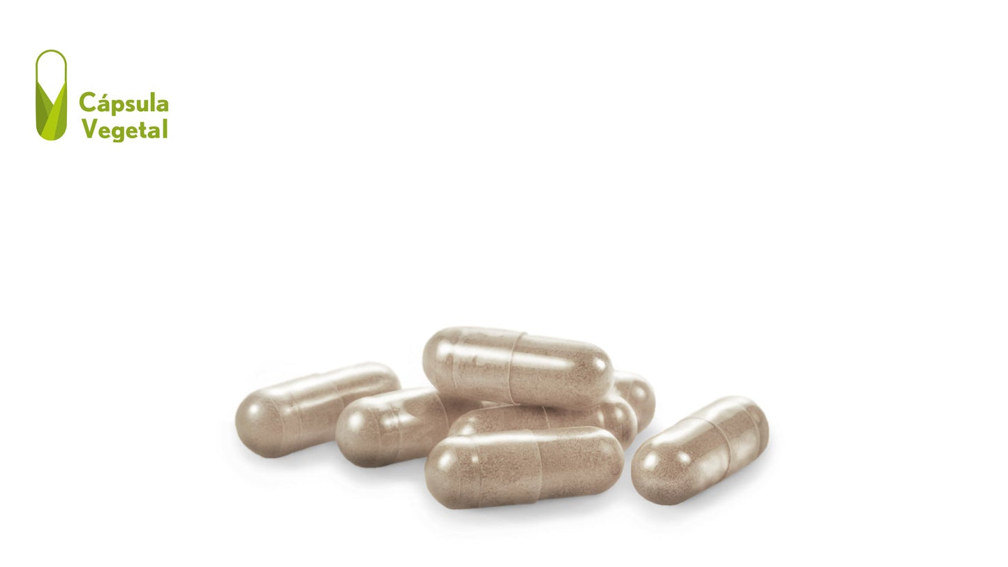 Centella asiática (complex) 2500 mg. 60 cápsulas vegetales