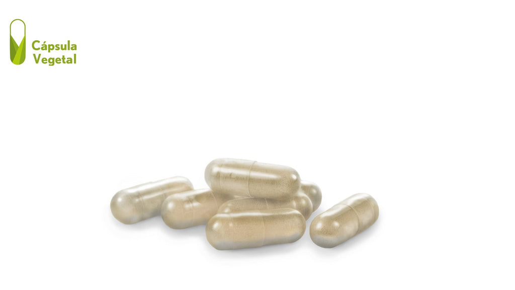 Evacuastop® 500 mg. 30 cápsulas vegetales