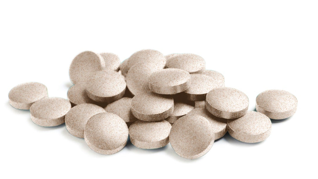 Ginkgo biloba 450 mg. (ext. seco) 100 comprimidos