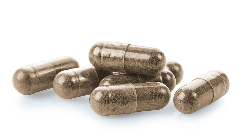 Reishi 400 mg. 90 cápsulas