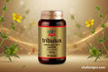 Tribulus 500 mg. (90% saponinas) 90 cápsulas