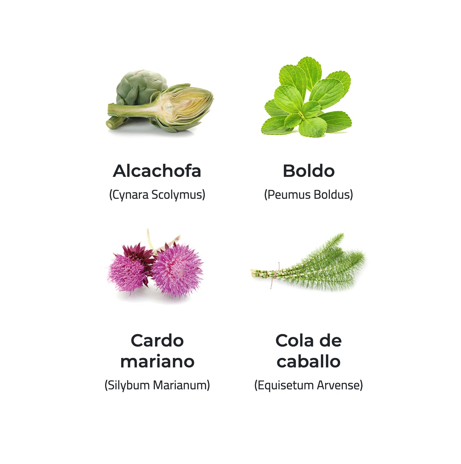 Drenaclean® 720 mg. 60 comprimidos.