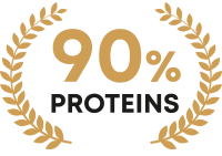 Number One Whey Protein 90%|  Aislado Proteína de Suero