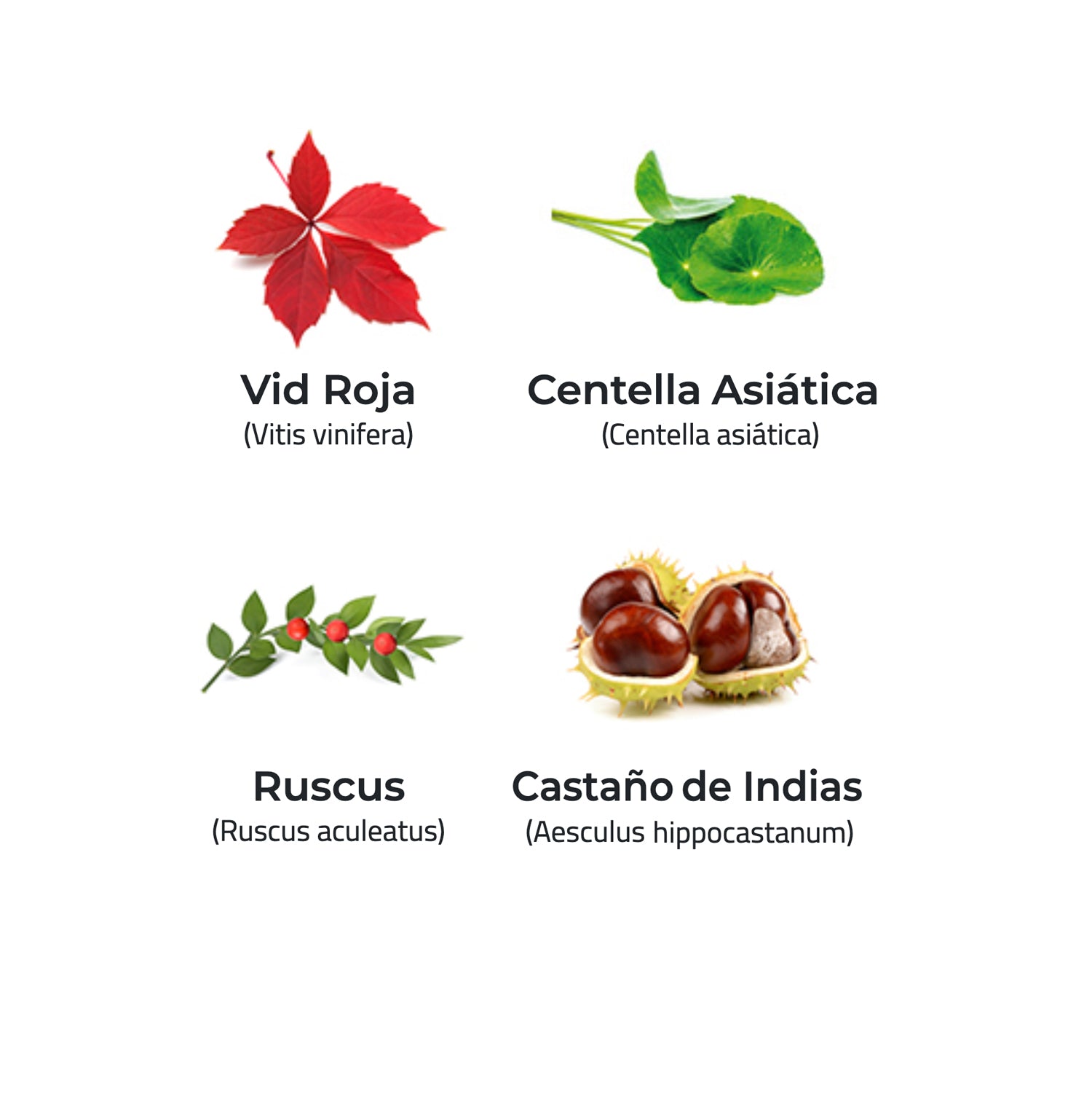 Variless® 680 mg. 30 cápsulas vegetales